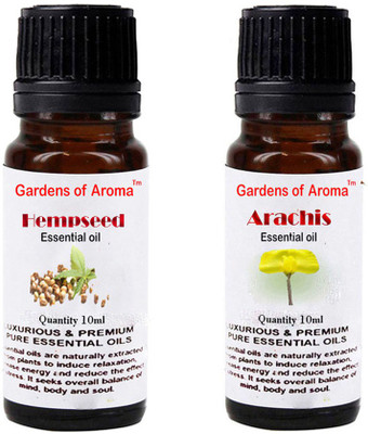 

Gardens Of Aroma Hempseed And Arachis(20 ml)