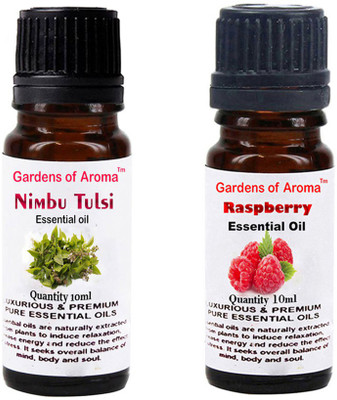 

Gardens Of Aroma Nimbu Tulsi And Raspberry(20 ml)