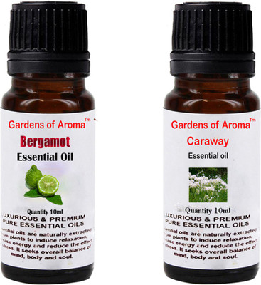 

Gardens Of Aroma Bergamot And Caraway(20 ml)