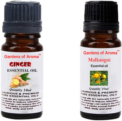 

Gardens Of Aroma Ginger And Malkangni(20 ml)