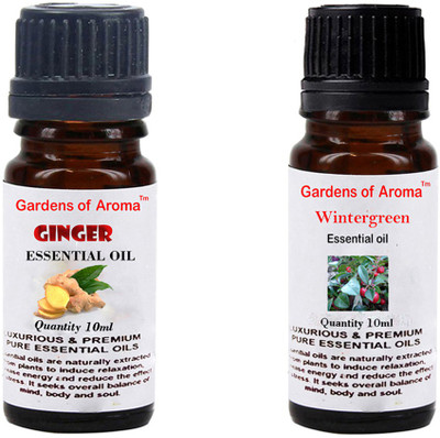 

Gardens Of Aroma Ginger And Wintergreen(20 ml)