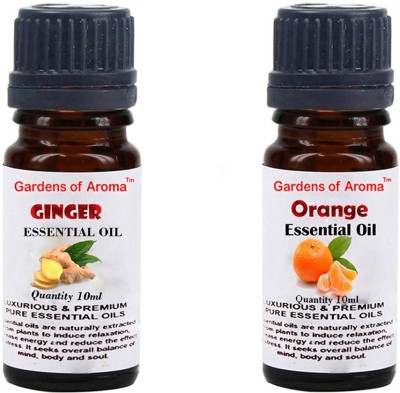 

Gardens Of Aroma Ginger And Orange(20 ml)