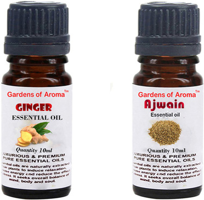 

Gardens Of Aroma Ginger And Ajwain(20 ml)