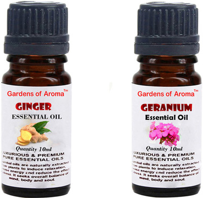 

Gardens Of Aroma Ginger And Gernium(20 ml)