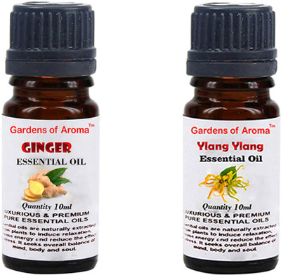 

Gardens Of Aroma Ginger And Ylang Ylang(20 ml)