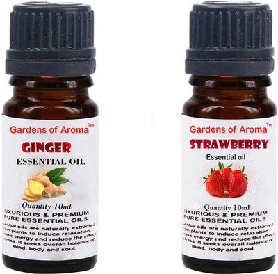 

Gardens Of Aroma Ginger And Strawberry(20 ml)