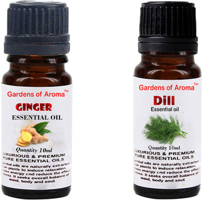 

Gardens Of Aroma Ginger And Dill(20 ml)