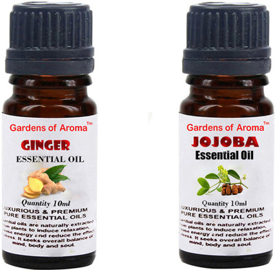 

Gardens Of Aroma Ginger And Jojoba(20 ml)