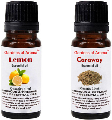 

Gardens Of Aroma Lemon And Caraway(20 ml)