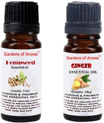 

Gardens Of Aroma Hempseed And Ginger(20 ml)