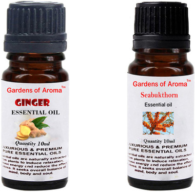 

Gardens Of Aroma Ginger And Seabukthorn(20 ml)