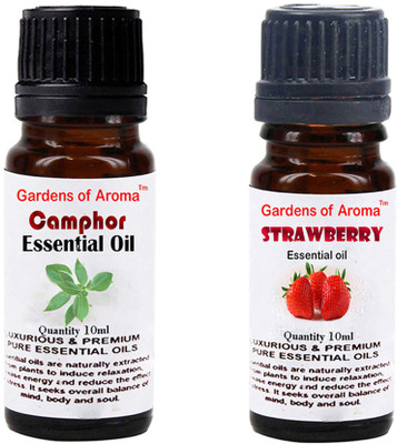 

Gardens Of Aroma Camphor And Strawberry(20 ml)