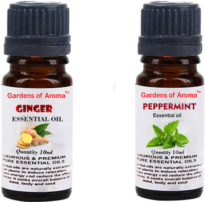 

Gardens Of Aroma Ginger And Peppermint(20 ml)