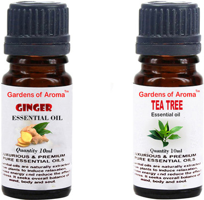 

Gardens Of Aroma Ginger And Tea tree(20 ml)