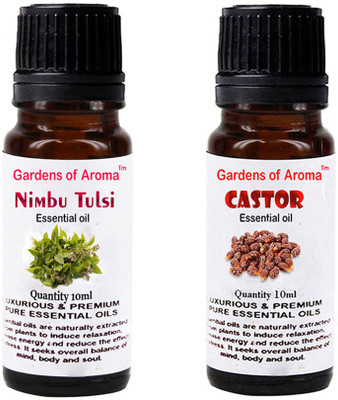 

Gardens Of Aroma Nimbu Tulsi And Castor(20 ml)