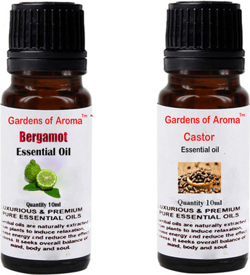 

Gardens Of Aroma Bergamot And Castor(20 ml)