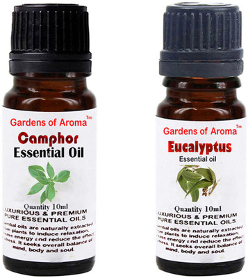 

Gardens Of Aroma Camphor And Eucalyptus(20 ml)