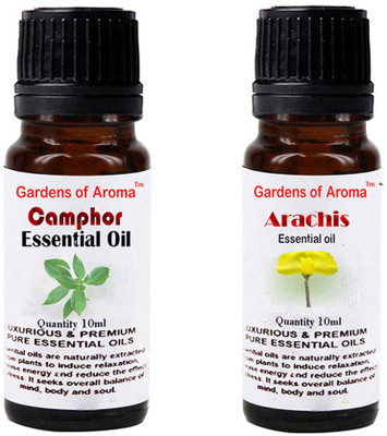 

Gardens Of Aroma Camphor And Arachis(20 ml)
