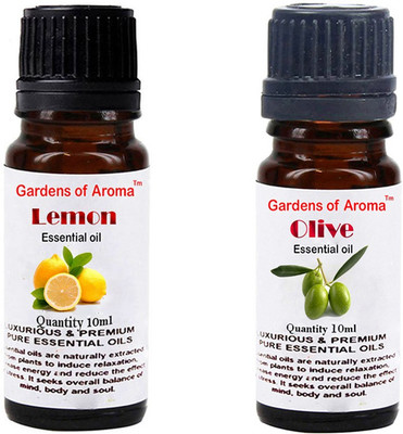 

Gardens Of Aroma Lemon And Olive(20 ml)