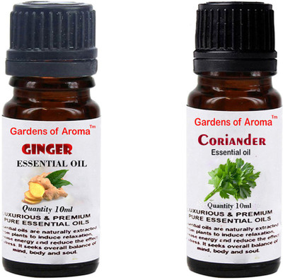 Gardens Of Aroma Ginger And Coriander(20 ml)