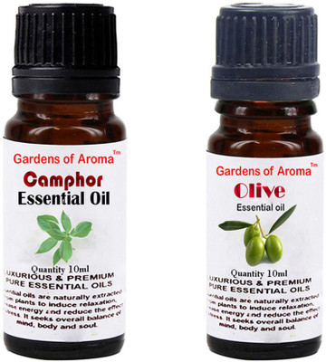 

Gardens Of Aroma Camphor And Olive(20 ml)