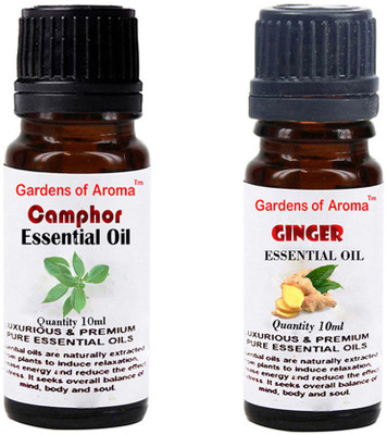 

Gardens Of Aroma Camphor And Ginger(20 ml)