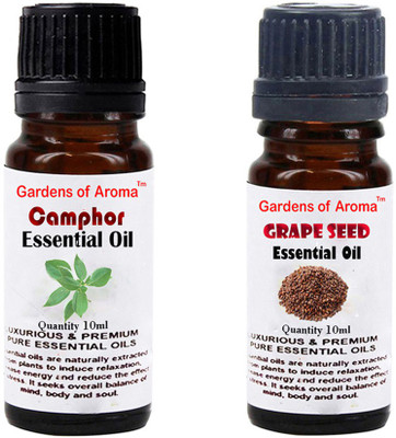 

Gardens Of Aroma Camphor And Grapeseed(20 ml)