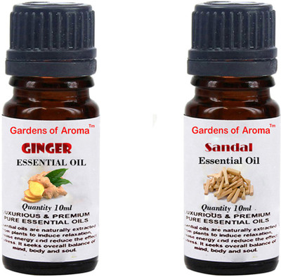 

Gardens Of Aroma Ginger And Sandal(20 ml)