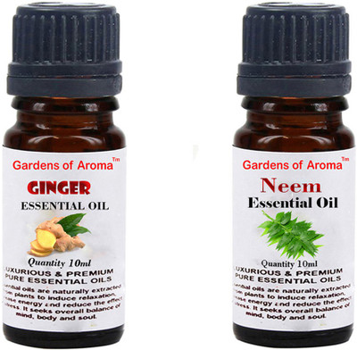 Gardens Of Aroma Ginger And Neem(20 ml)