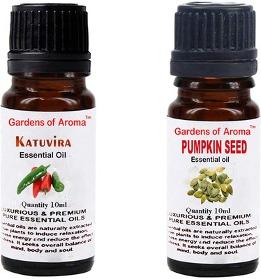 

Gardens Of Aroma Katuvira And Pumkinseed(20 ml)