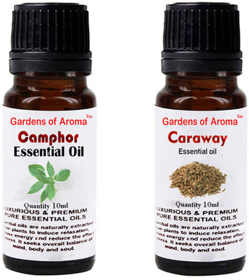 

Gardens Of Aroma Camphor And Caraway(20 ml)