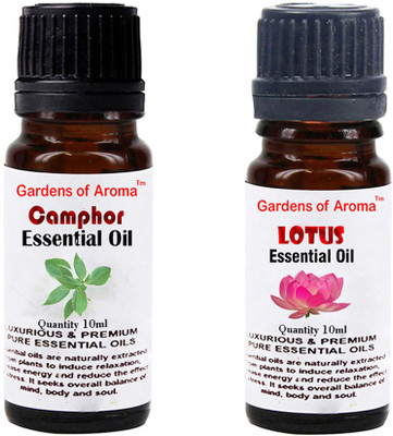 

Gardens Of Aroma Camphor And Lotus(20 ml)