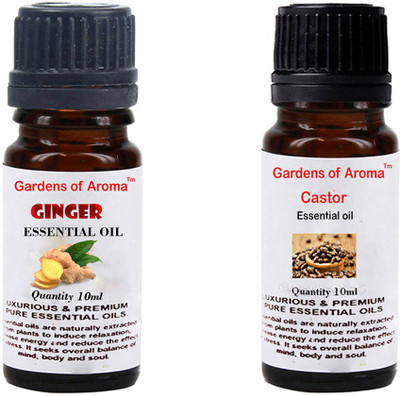 

Gardens Of Aroma Ginger And Castor(20 ml)
