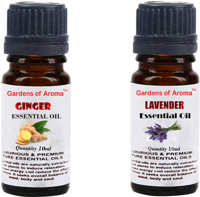 

Gardens Of Aroma Ginger And Lavender(20 ml)
