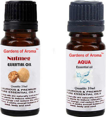 

Gardens Of Aroma Nutmeg And Aqua(20 ml)