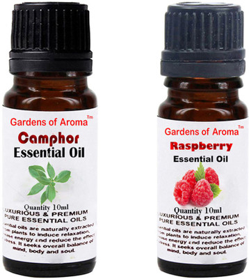 Gardens Of Aroma Camphor And Raspberry(20 ml)