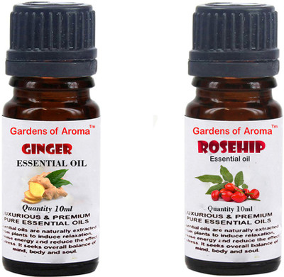 Gardens Of Aroma Ginger And Rosehip(20 ml)