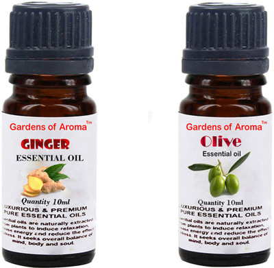 

Gardens Of Aroma Ginger And Olive(20 ml)