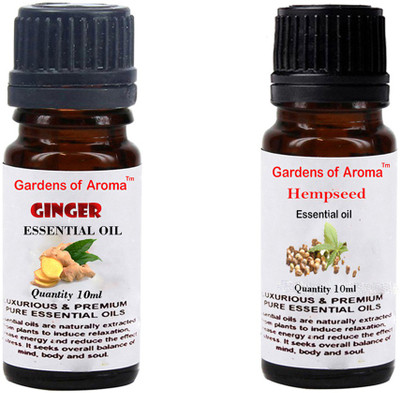 

Gardens Of Aroma Ginger And Hepmseed(20 ml)
