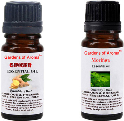 

Gardens Of Aroma Ginger And Moringa(20 ml)