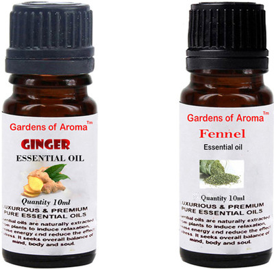 

Gardens Of Aroma Ginger And Fennel(20 ml)