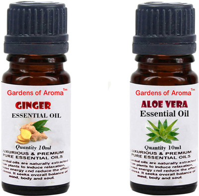 

Gardens Of Aroma Ginger And Aloe vera(20 ml)