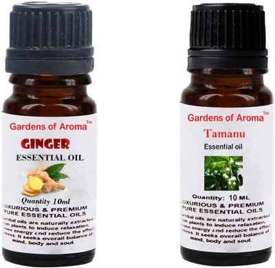 

Gardens Of Aroma Ginger And Tamanu(20 ml)