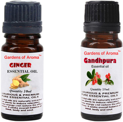 

Gardens Of Aroma Ginger And Gandhpura(20 ml)