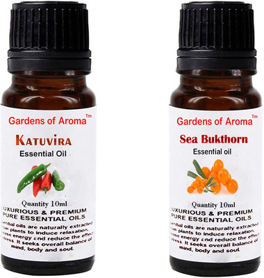 

Gardens Of Aroma Katuvira And Seabukthorn(20 ml)