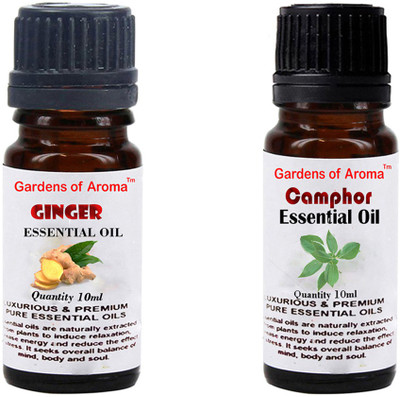 

Gardens Of Aroma Ginger And Camphor(20 ml)