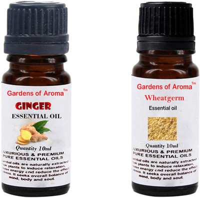 

Gardens Of Aroma Ginger And Wheatgerm(20 ml)