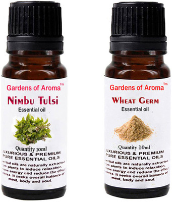 

Gardens Of Aroma Nimbu Tulsi And Wheatgerm(20 ml)