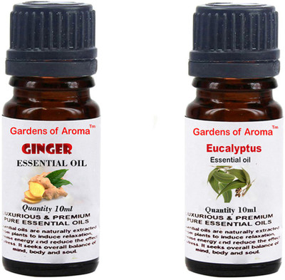 

Gardens Of Aroma Ginger And Eucalyptus(20 ml)
