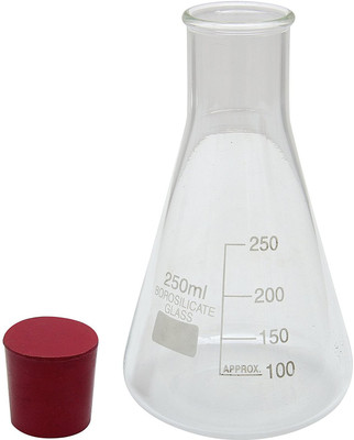 

Parshv Erlenmeyer Flask(250 ml, Pack of 2)